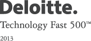 Deloitte Technology Fast 500 (tm) 2013