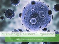 Multi-drug Resistant Organisms (MDROs)