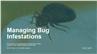 Managing Bug Infestations